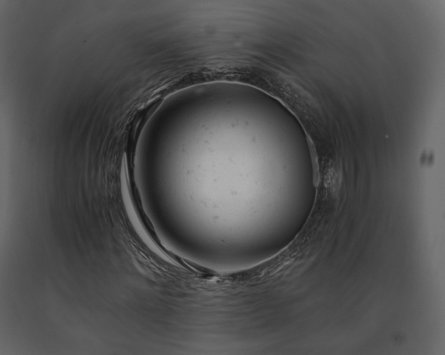 X0000091660868200708231303