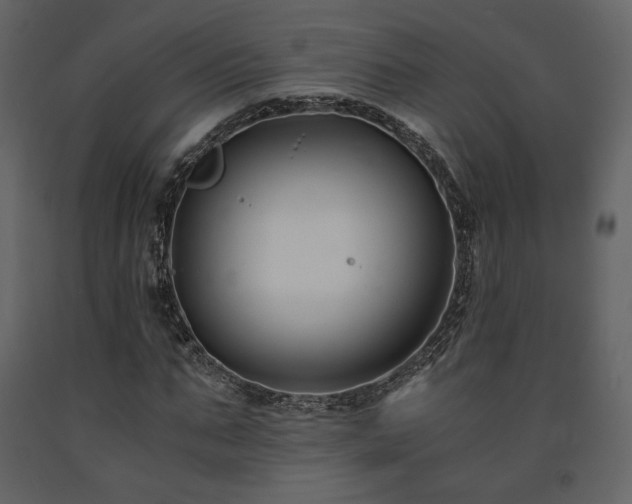 X0000091660871200708231303