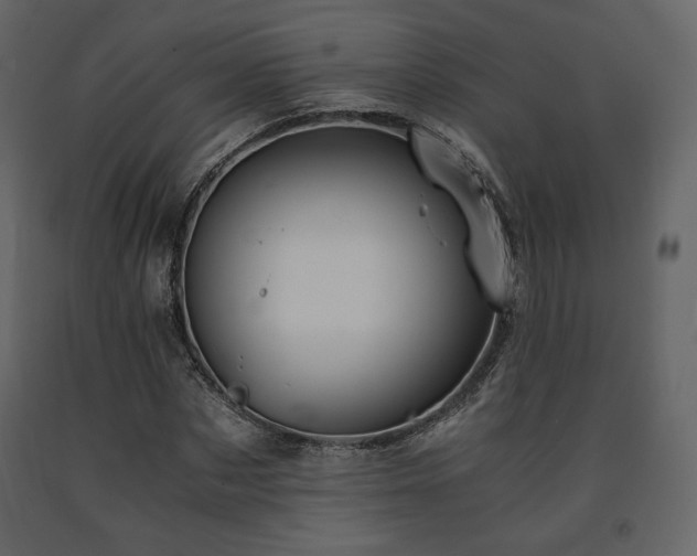 X0000091660873200708231303