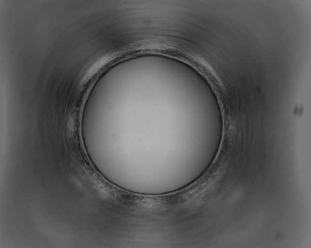 X0000091660874200708231303