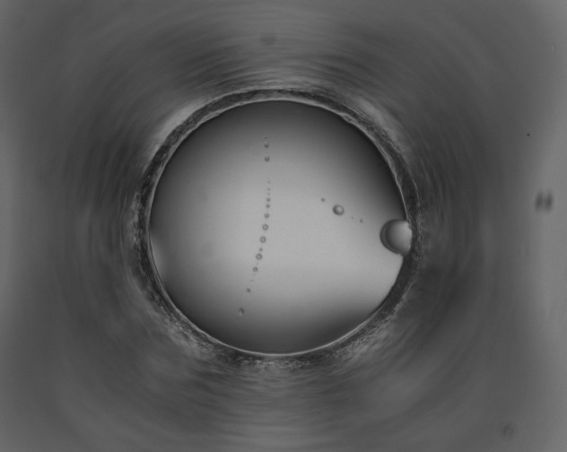 X0000091660875200708231303