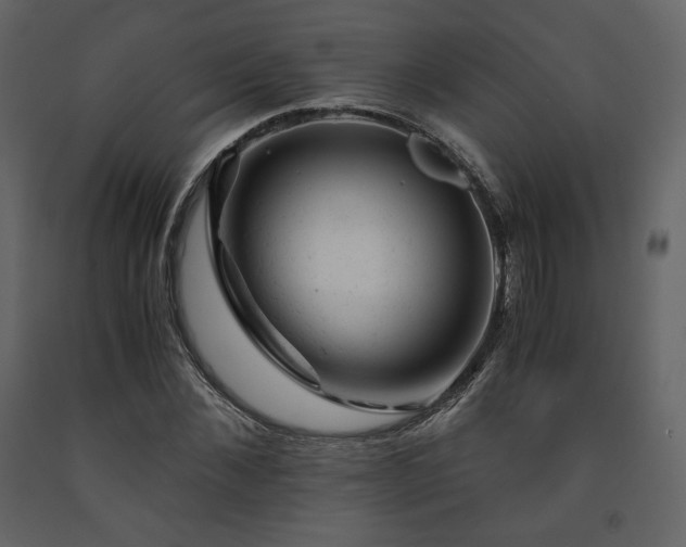 X0000091660876200708231303
