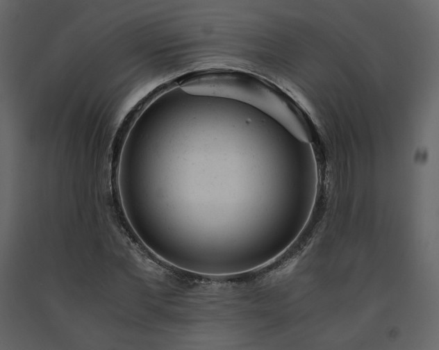 X0000091660877200708231303