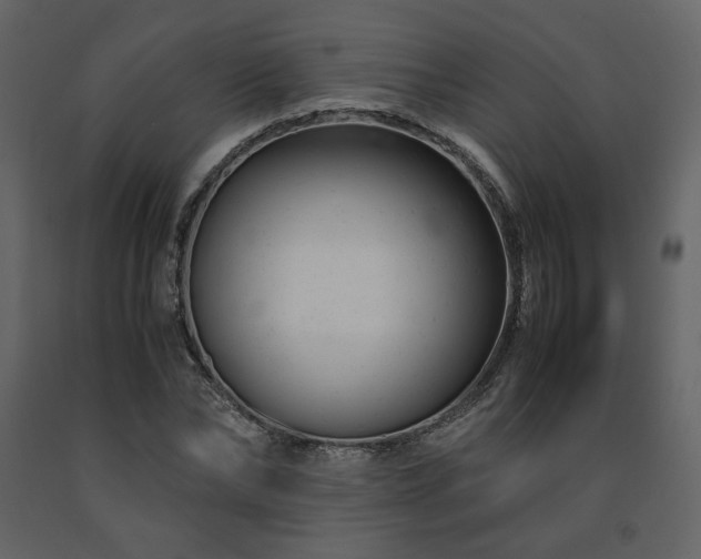 X0000091660878200708231303