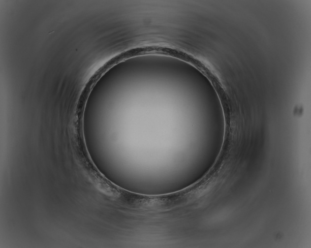X0000091660879200708231303