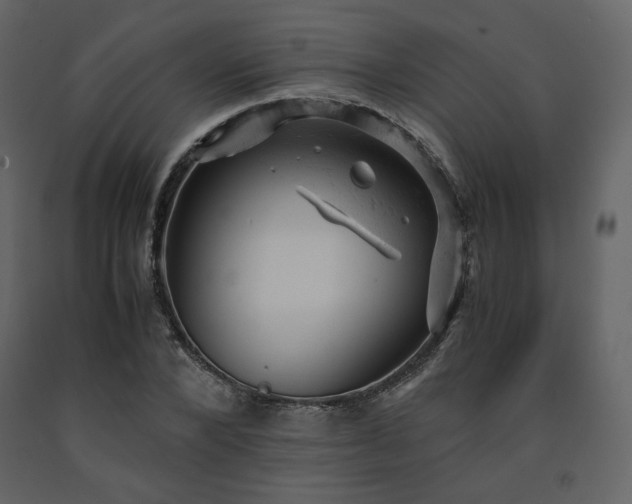 X0000091660880200708231303