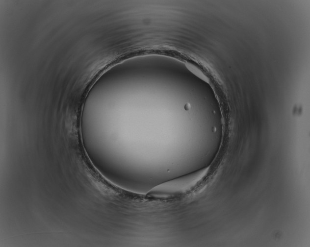 X0000091660881200708231303