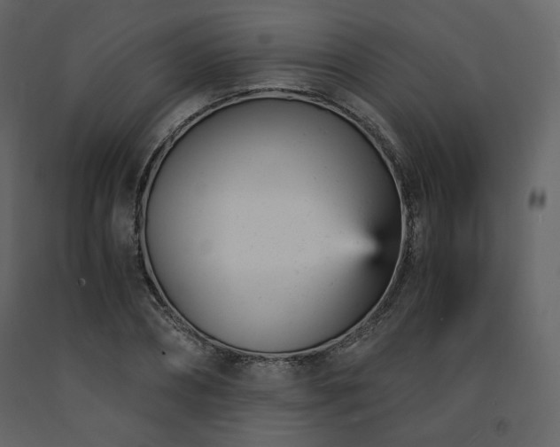 X0000091660882200708231303