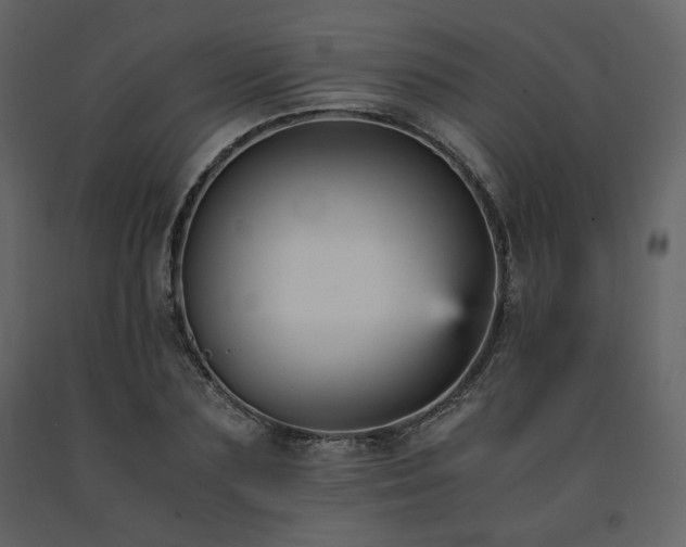 X0000091660883200708231303