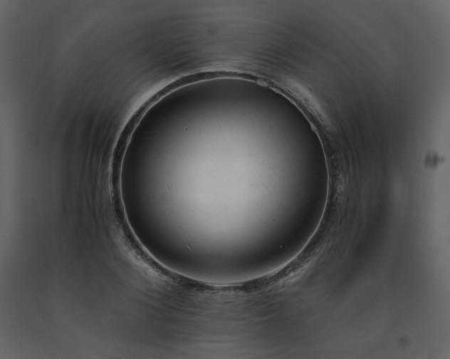 X0000091660884200708231303