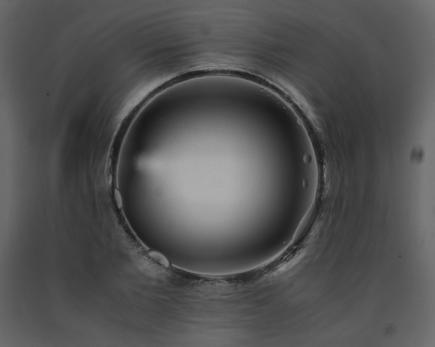 X0000091660885200708231303