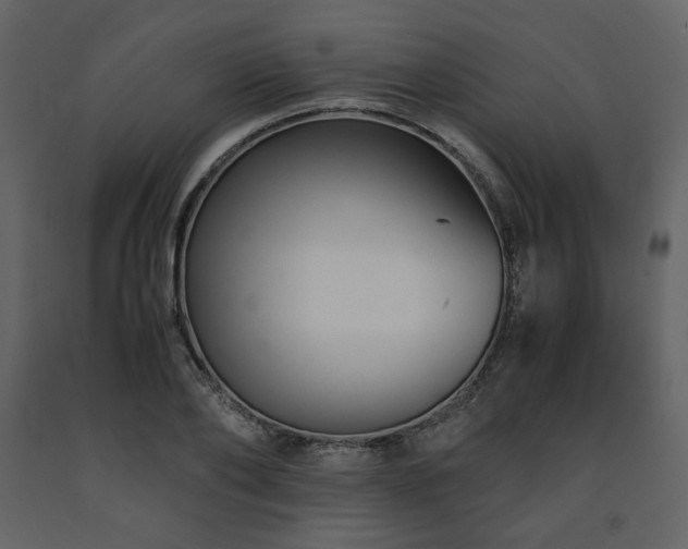 X0000091660886200708231303