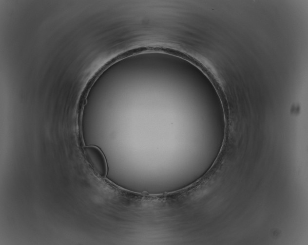 X0000091660887200708231303