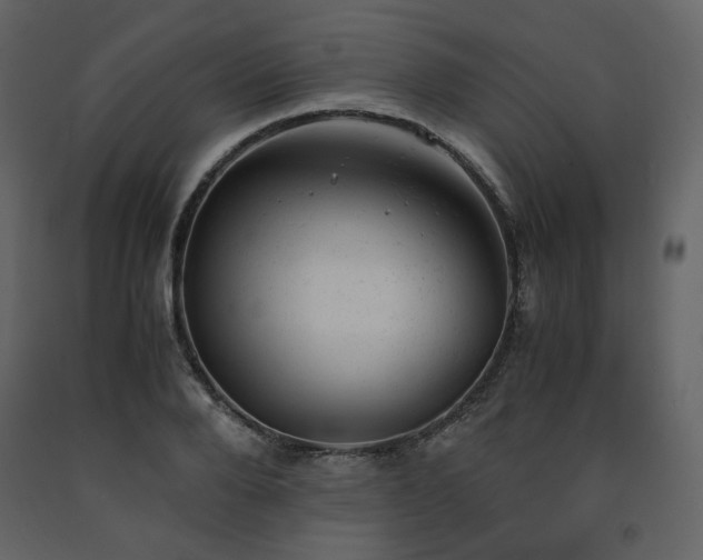 X0000091660888200708231303