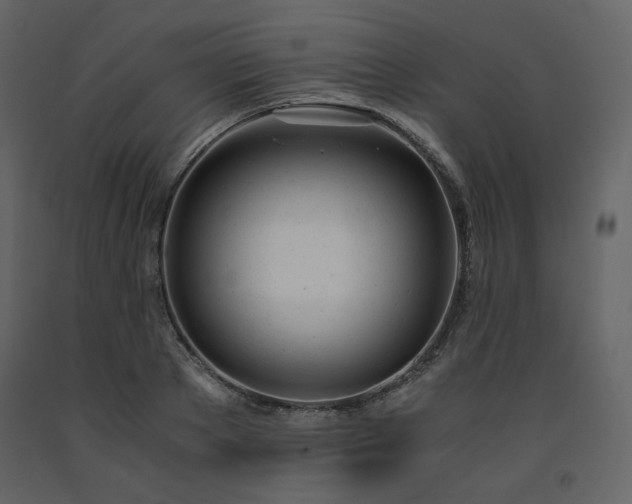 X0000091660889200708231303