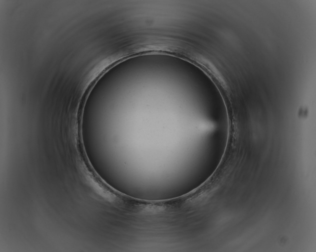 X0000091660890200708231303