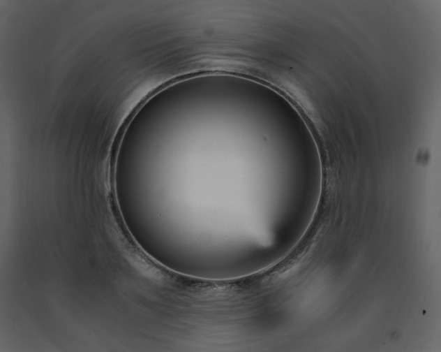 X0000091660891200708231303