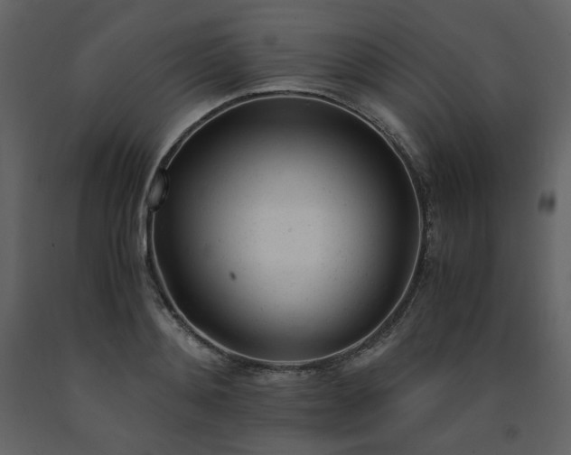 X0000091660892200708231303