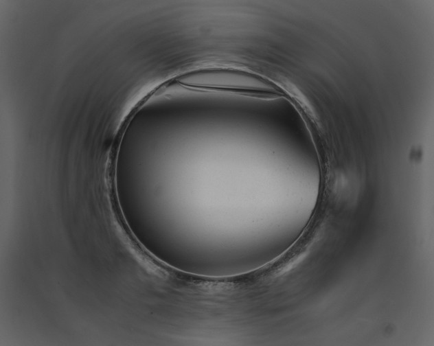 X0000091660893200708231303
