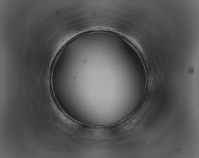 X0000091660895200708231303