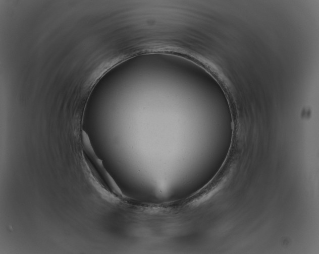 X0000091660897200708231303