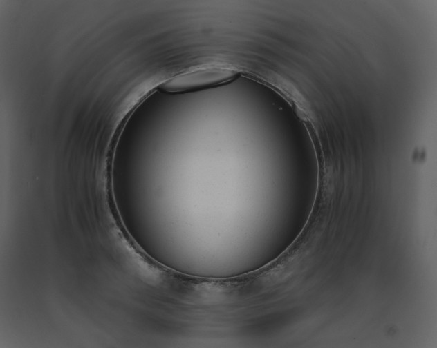 X0000091660898200708231303