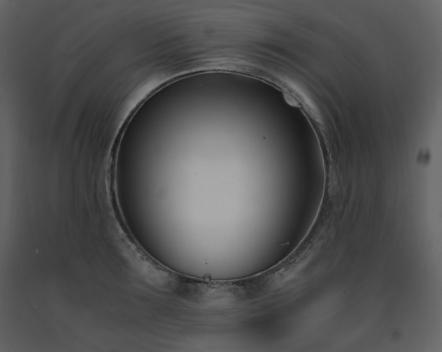 X0000091660899200708231303