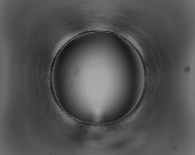 X0000091660901200708231303