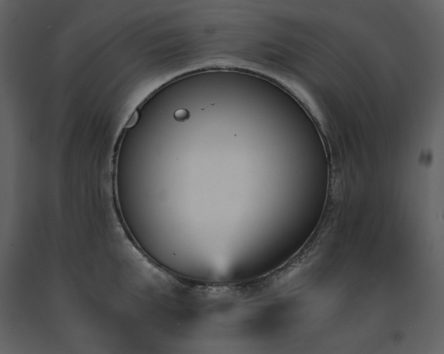 X0000091660903200708231303