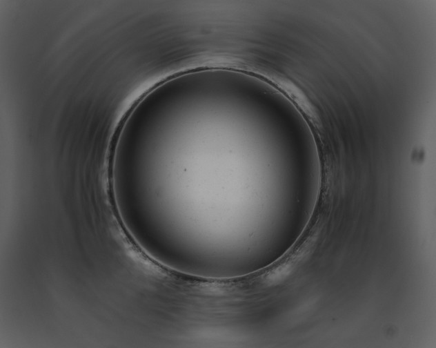 X0000091660904200708231303