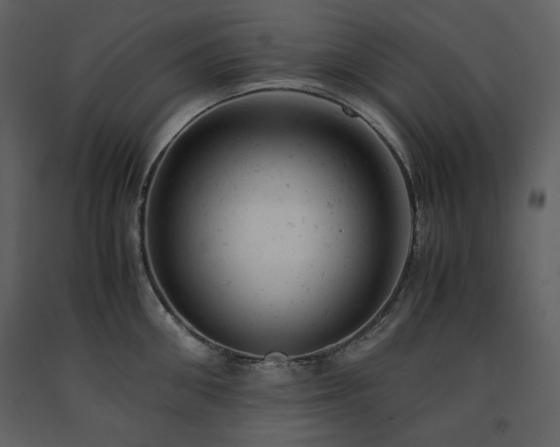 X0000091660906200708231303