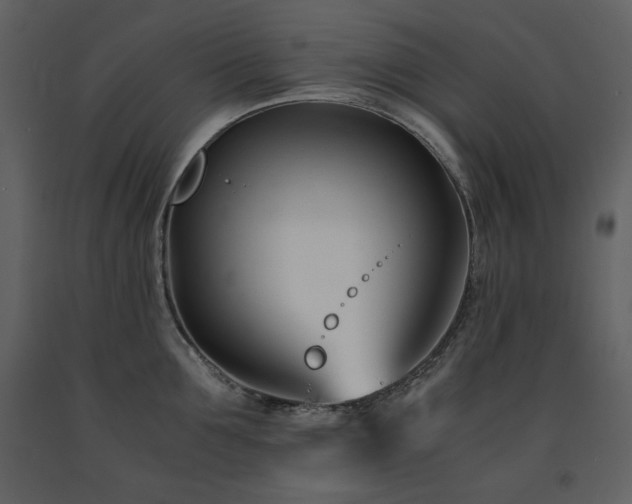 X0000091660907200708231303