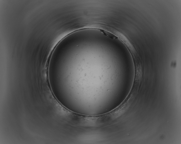 X0000091660908200708231303