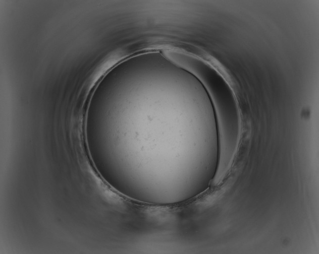 X0000091660909200708231303