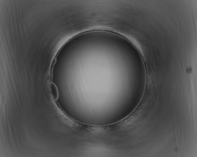 X0000091660911200708231303