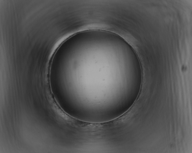 X0000091660912200708231303