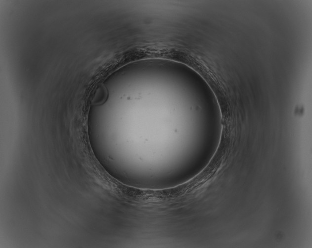 X0000091660913200708231302