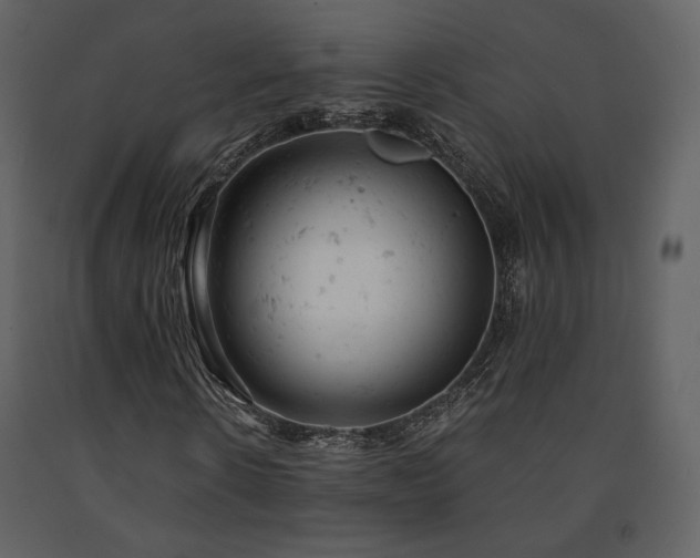 X0000091660914200708231302
