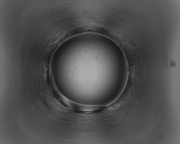 X0000091660916200708231302