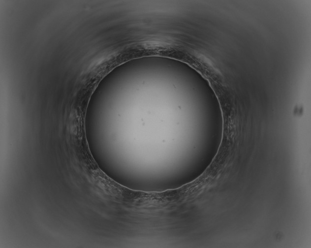 X0000091660917200708231302