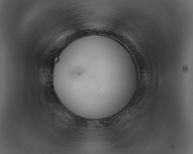 X0000091660918200708231302