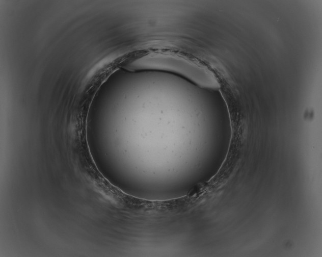 X0000091660920200708231302