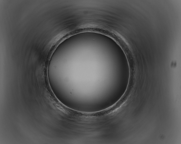 X0000091660921200708231302