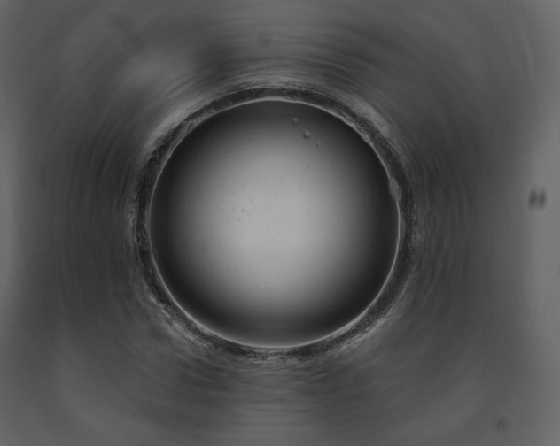 X0000091660922200708231302