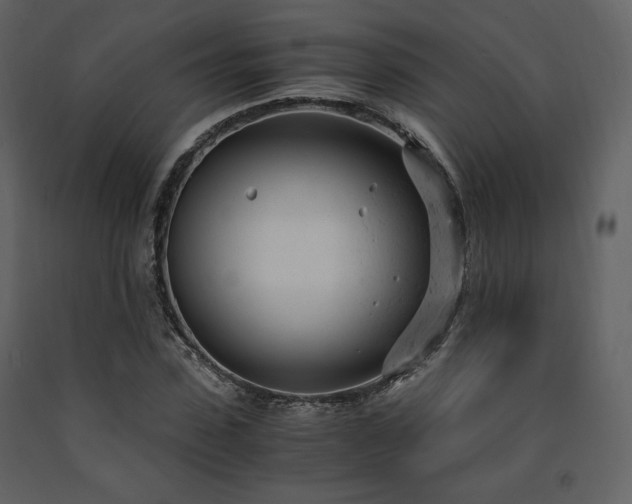X0000091660923200708231302