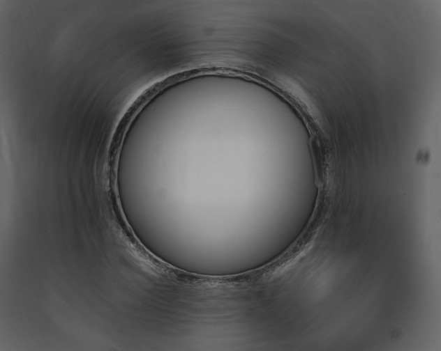 X0000091660924200708231302