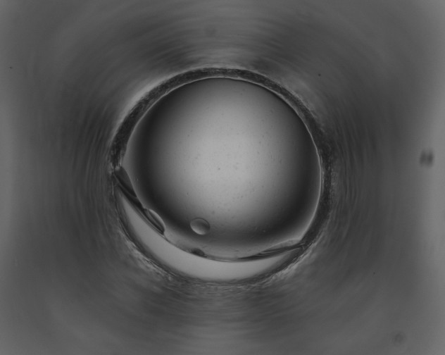 X0000091660926200708231302