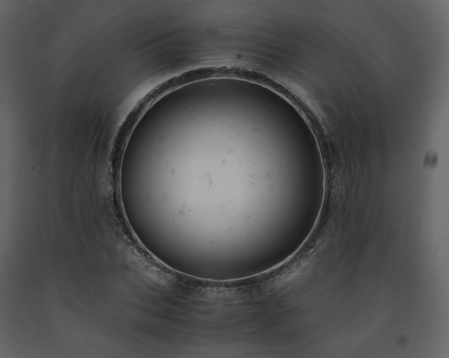 X0000091660927200708231302