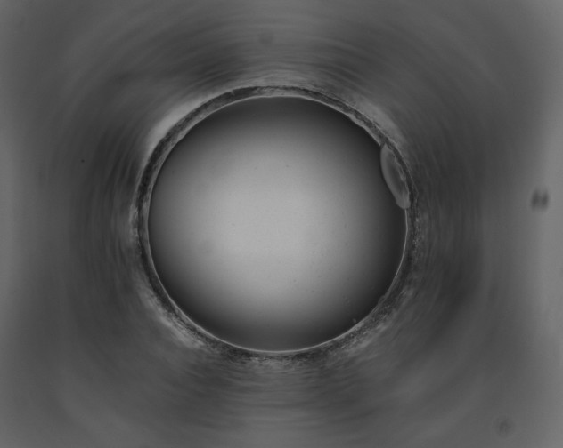 X0000091660928200708231302