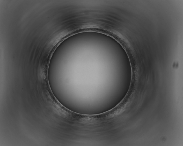 X0000091660929200708231302